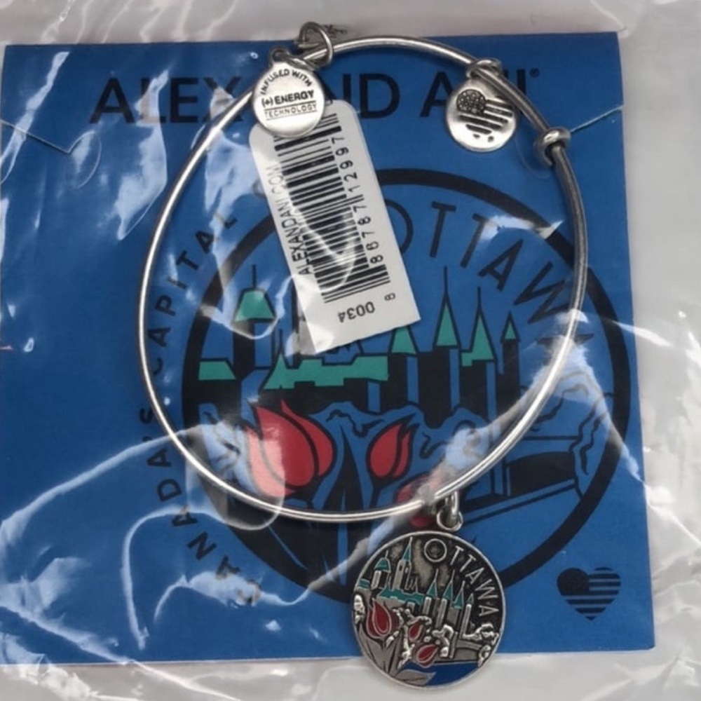 Alex and Ani Ottawa Charm Bangle Bracelet Silver